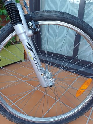 Bicicleta de montaña con marchas. 