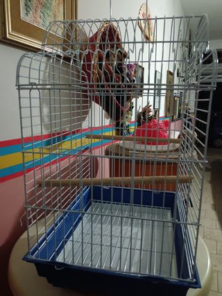 Gabbia uccelli taglia media bianca e blu