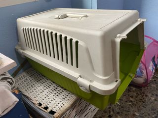 Transportín animales - Verde y blanco