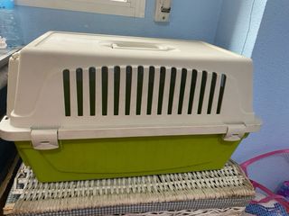 Transportín animales - Verde y blanco