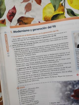 LENGUA CASTELLANA Y LITERATURA 4 BLOQUES (CER)