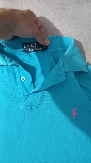 Lote de prendas Polo Tommy y camisas Tommy y burbe