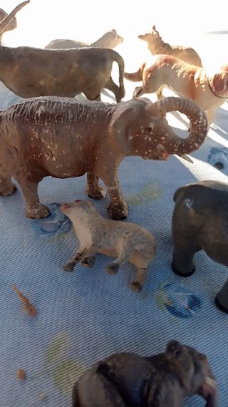 Animaletti vintage in composizione