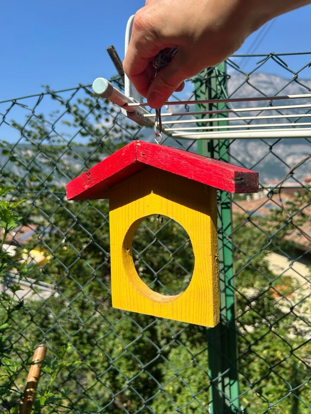 Casetta per uccelli colorata
