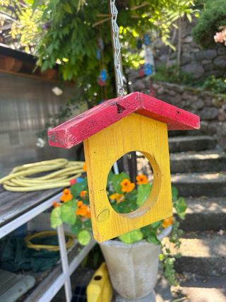 Casetta per uccelli colorata