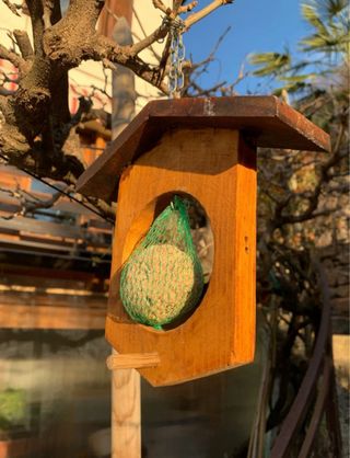 Casetta per uccelli colorata