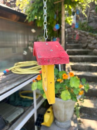 Casetta per uccelli colorata