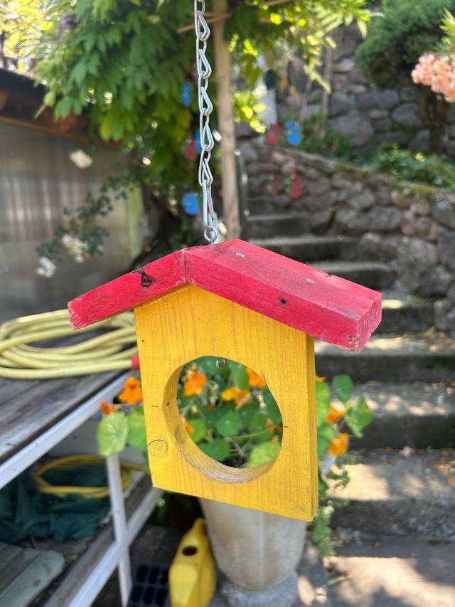 Casetta per uccelli colorata