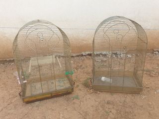 Jaulas pájaros - Dorado - 2 uds