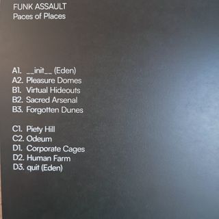 Funk Assault – Paces Of