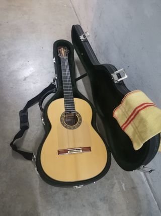 Guitarra flamenca profesional.
