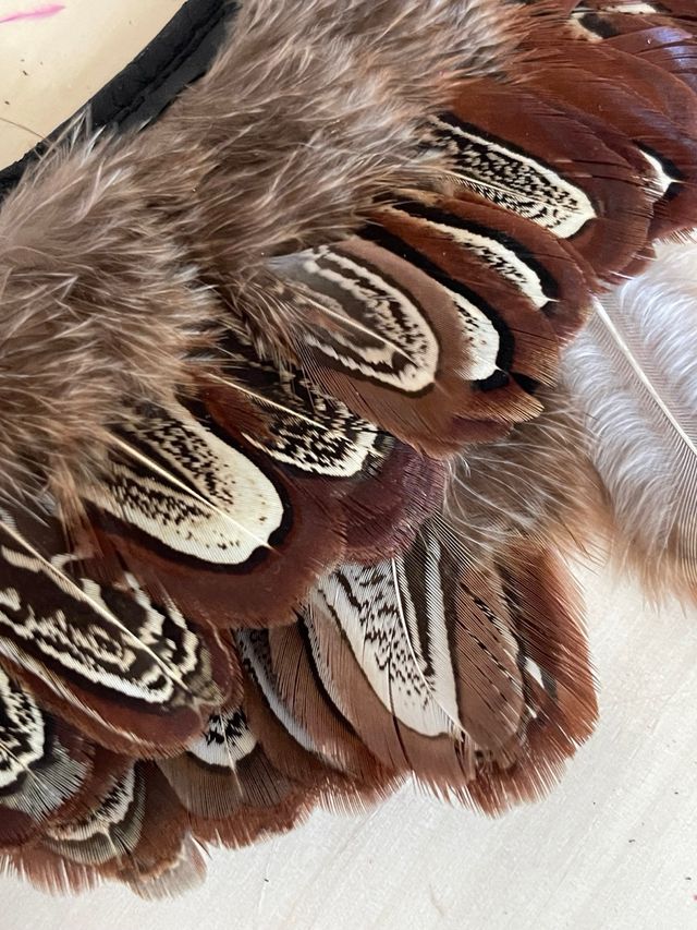 1m cinta pluma faisan 6cm. Moda/bisuteria/manualid