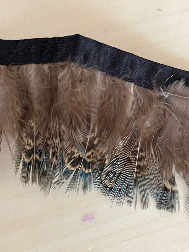 Tira plumas faisan.1m pluma:4cm. moda/bisute