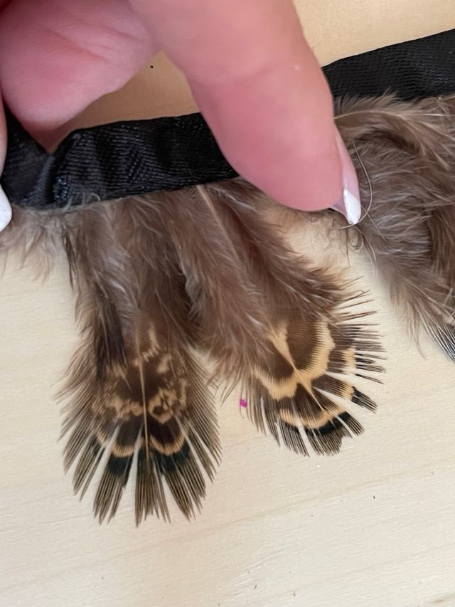 Tira plumas faisan.1m pluma:4cm. moda/bisute