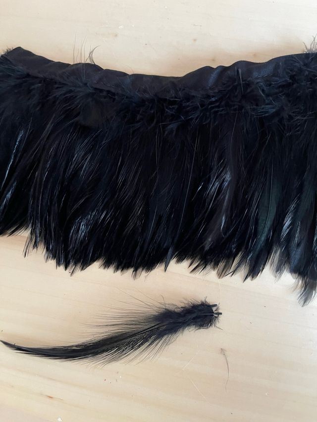 Tira plumas 1m. Tupidas. Largo 12cm. Negro.