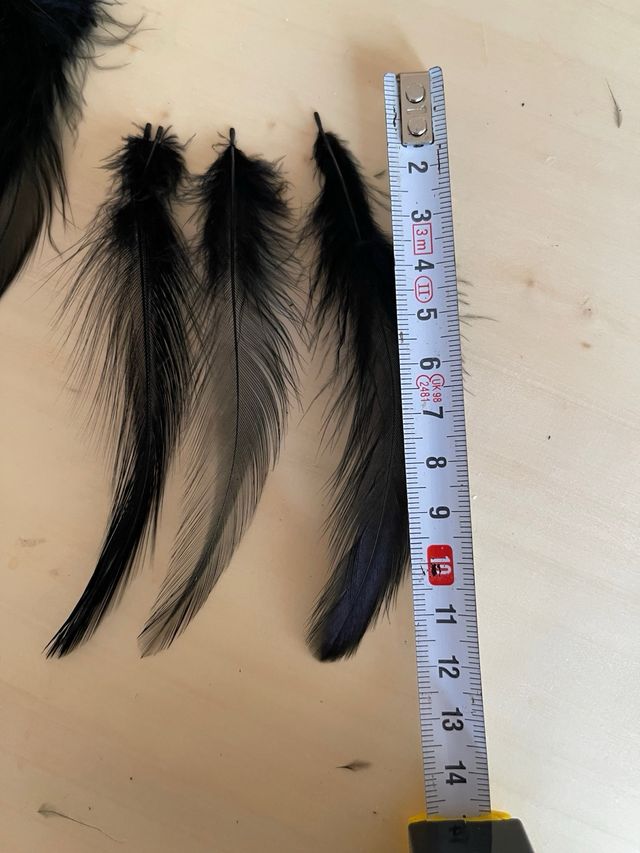 Tira plumas 1m. Tupidas. Largo 12cm. Negro.