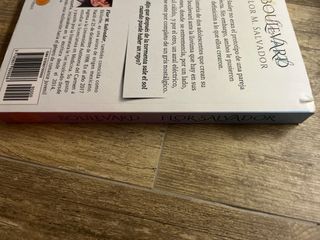 Boulevard (Spanish Edition)