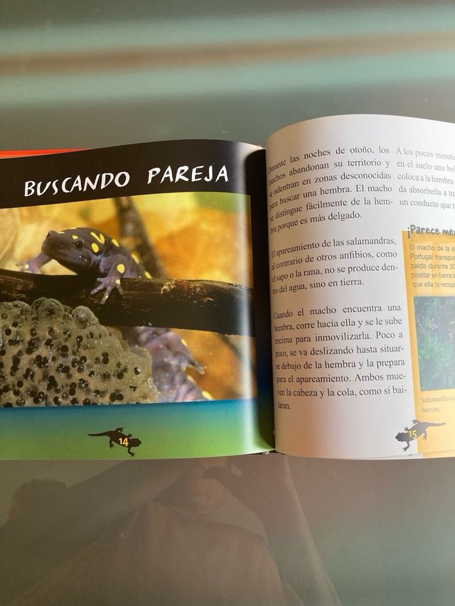 4 Libros fauna en peligro