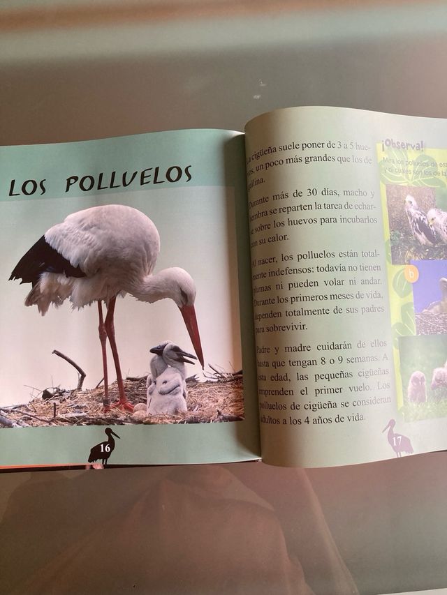 4 Libros fauna en peligro