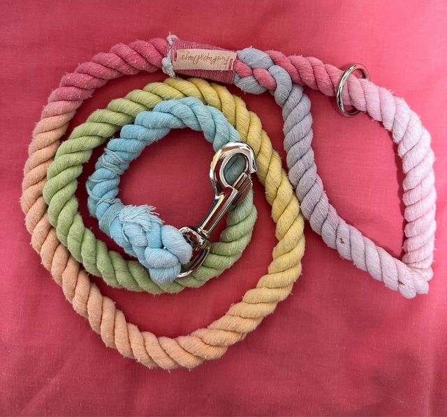 Correa multicolor para perro