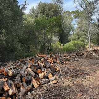 Serveis Forestals i Jardineria