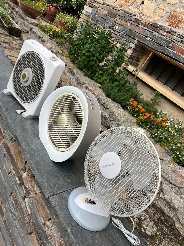 3 Ventiladores: Honeywell, Rowenta, Taurus