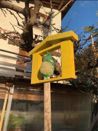 Casetta uccelli gialla