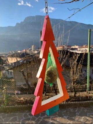 Casetta per uccelli | Arancione Rosa