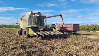 Claas Lexion 450 con equipos Cereal y Maíz