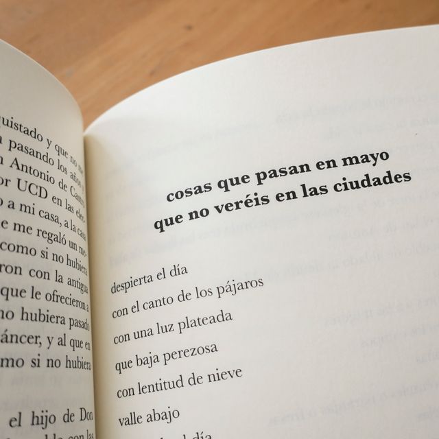 Almanaque: Cosas que pasan en lo pueblos que no...