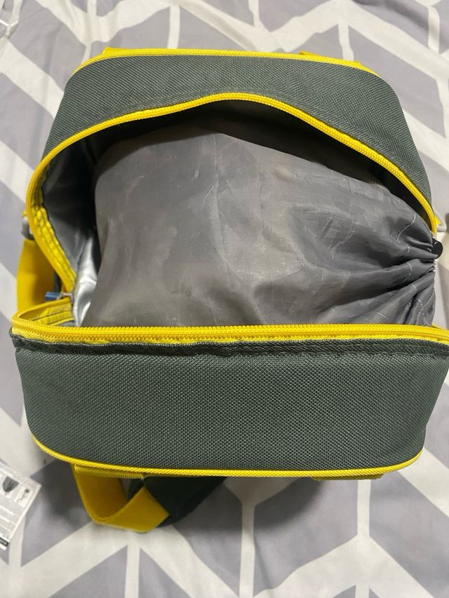 Lote sacaleches Medela Swing electrico+accesorios