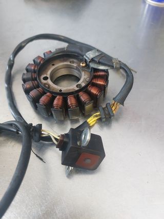Alternador y pickup Honda Scoopy 125