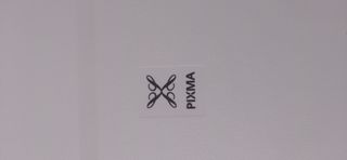 Stampante Canon MG2550 bianca