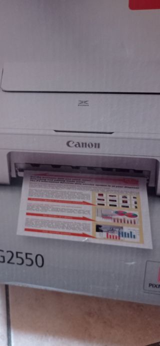 Stampante Canon MG2550 bianca
