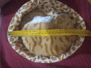 Gatto Peluche - Tenero Micio