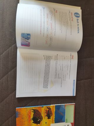 Libros de 6to de Primaria Editorial SM