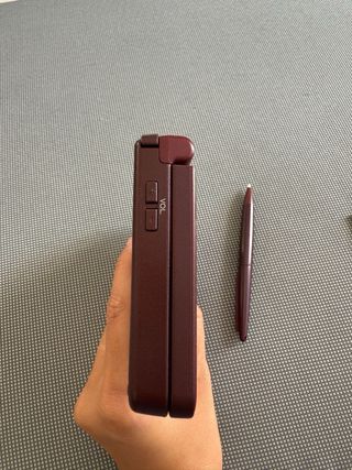 Nintendo DS 