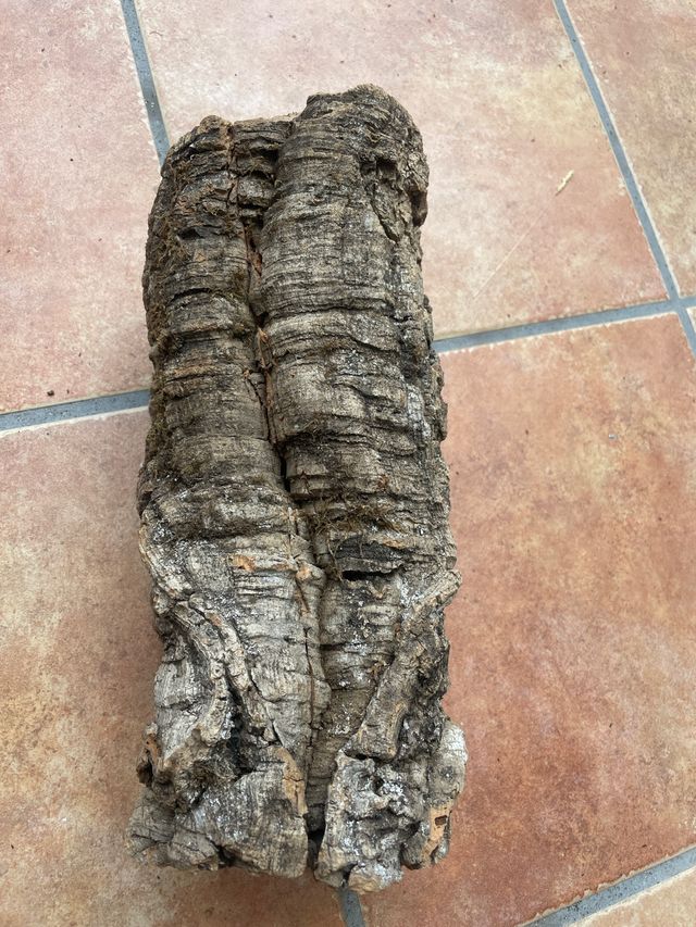 Canuto corcho natural