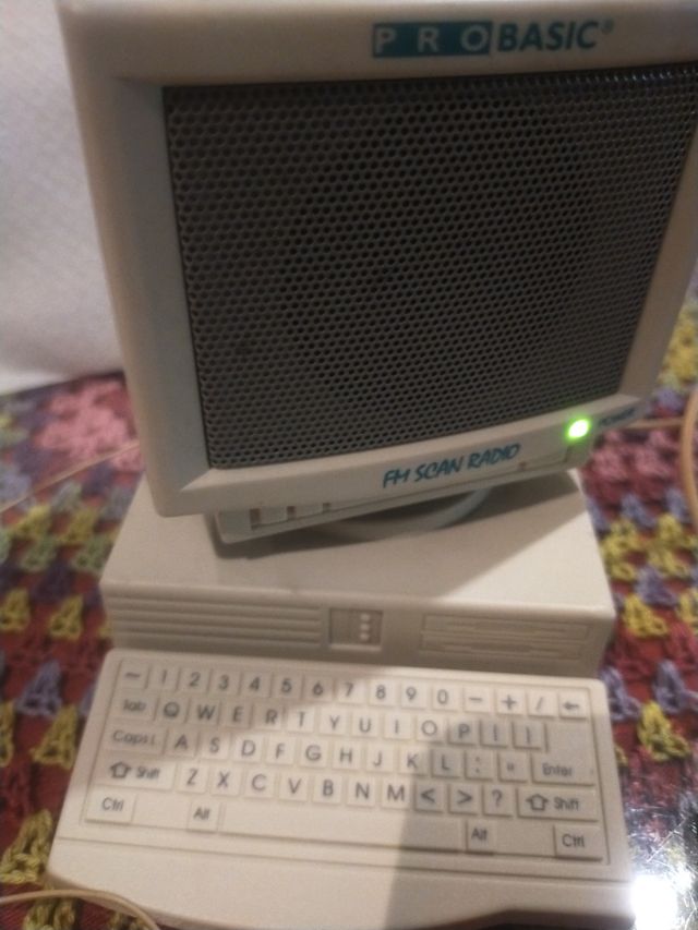 Radio FM PRO BASIC PC