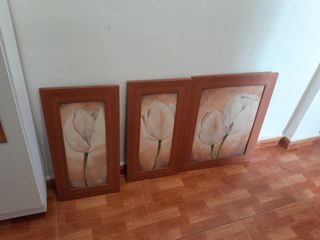 3 Cuadros con tulipanes + 1 con iris