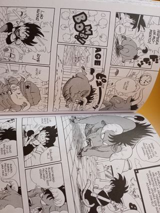 Dragon Ball nº 01/34 PDA