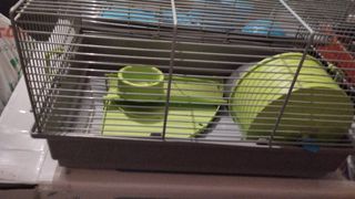 Jaula hamster nueva