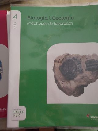 LENGUA Y LITERATURA SERIE LIBRO ABIERTO 4 ESO S...