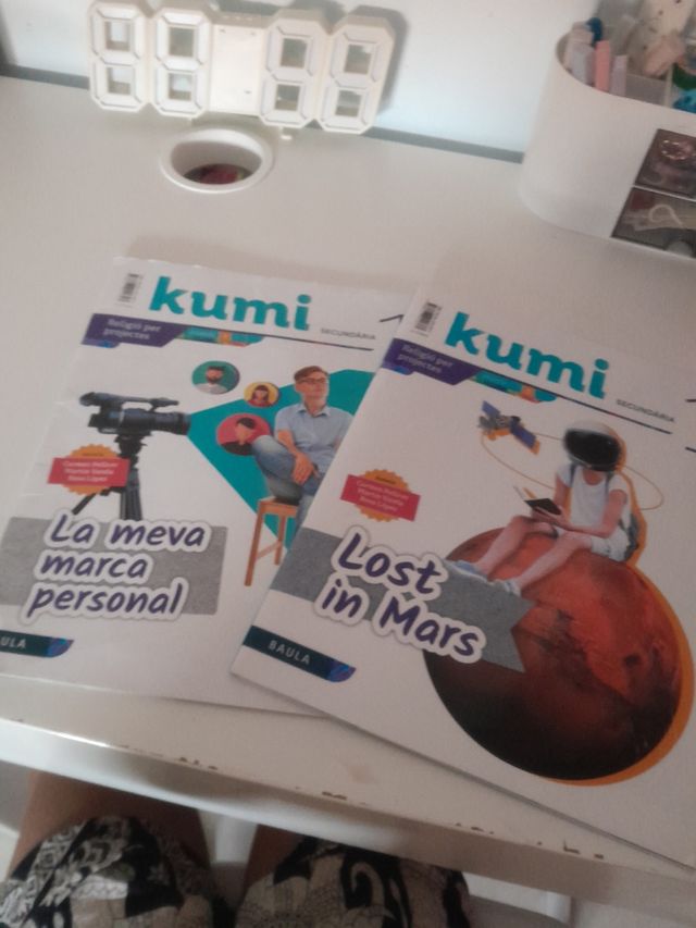 La meva marca personal 1r ESO Projecte Kumi lost i