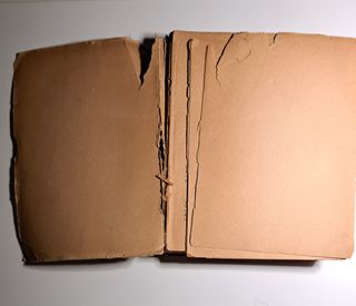 Manuale dei Lupetti