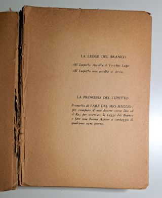 Manuale dei Lupetti