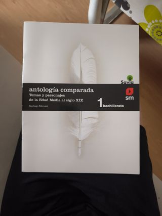 Lengua castellana y literatura. 1 Bachillerato....