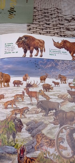 Busca los animales de la tierra (Spanish Edition)