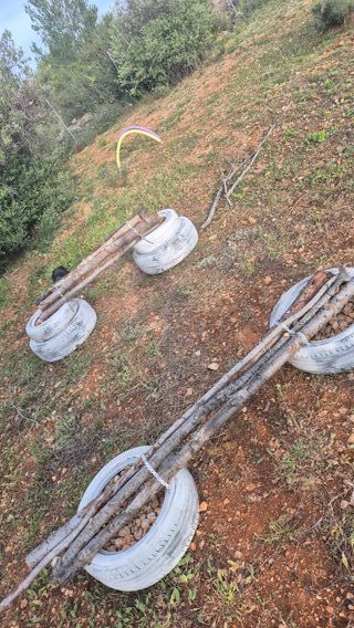 Agility perro: escalera entrenamiento