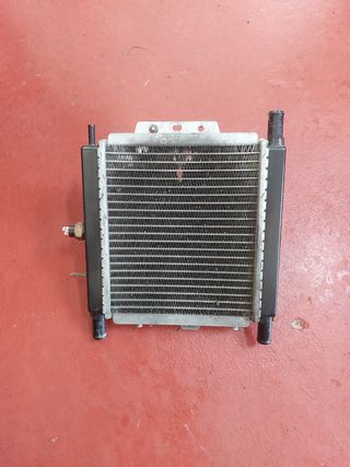 Radiador Peugeot Satelis 125 (2007)